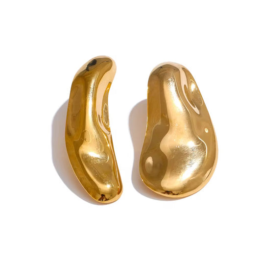 Desigual Earrings